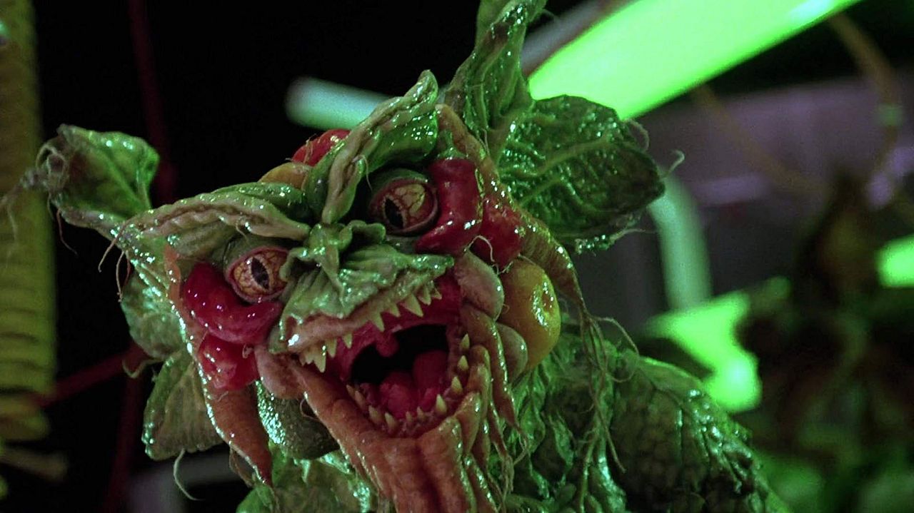 Gremlins 2: La nueva generación : Foto