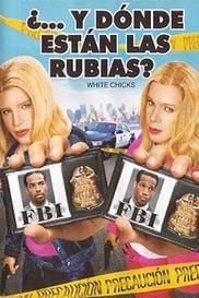 ¿...y dónde están las rubias? : Póster