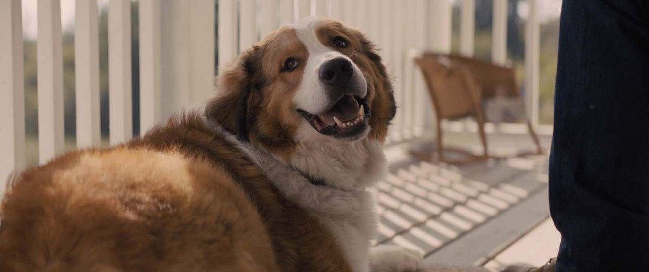 La razón de estar contigo: Un nuevo viaje : Foto