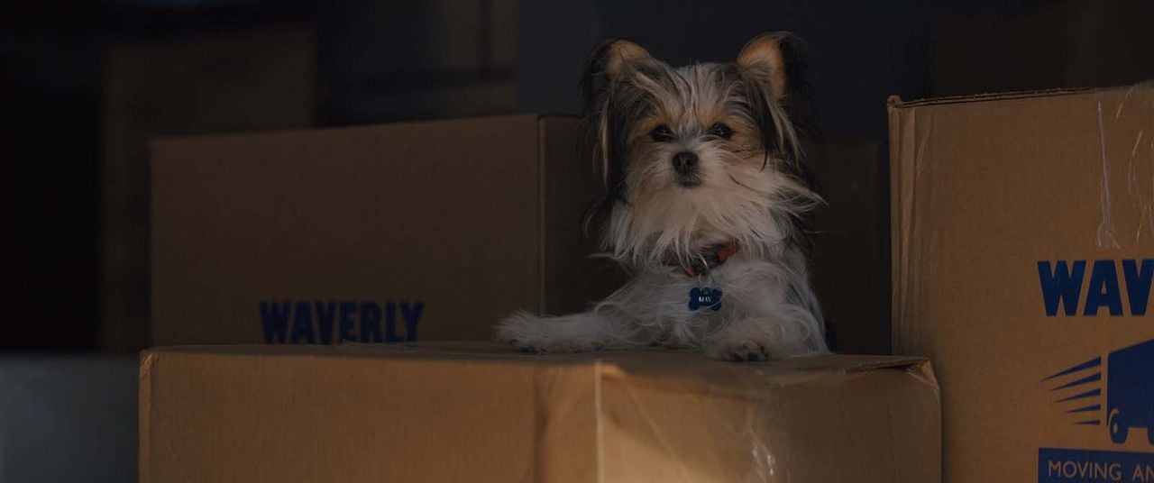 La razón de estar contigo: Un nuevo viaje : Foto