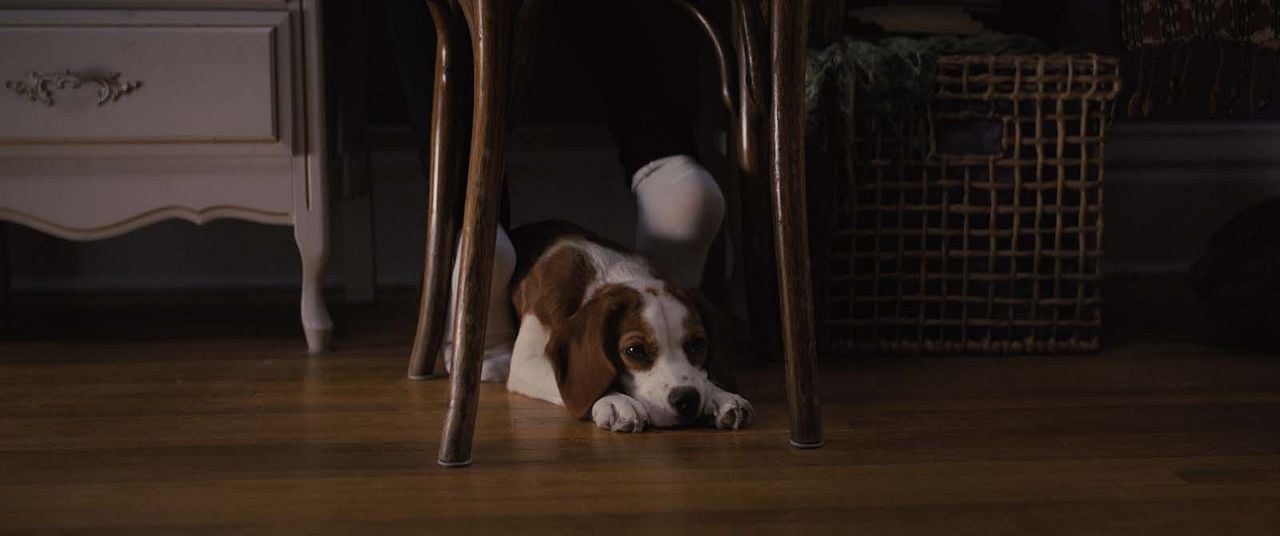 La razón de estar contigo: Un nuevo viaje : Foto