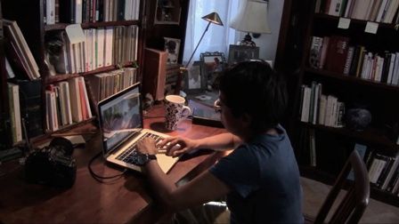 Observar las aves : Foto