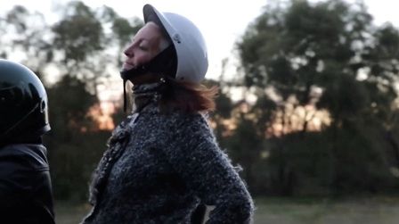 Observar las aves : Póster