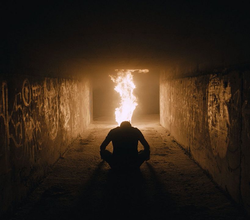 La paloma y el lobo : Foto