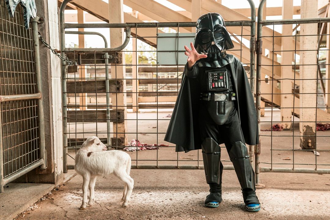 Little Monsters : Foto