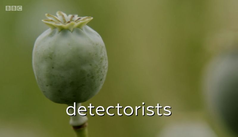 Detectorists : Póster