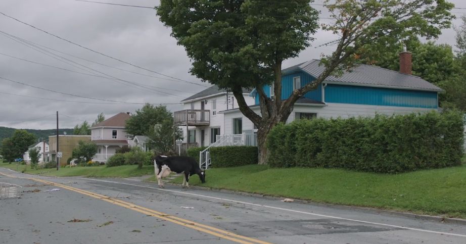 Los hambrientos : Foto