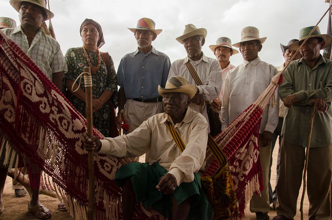 Pájaros de Verano : Foto