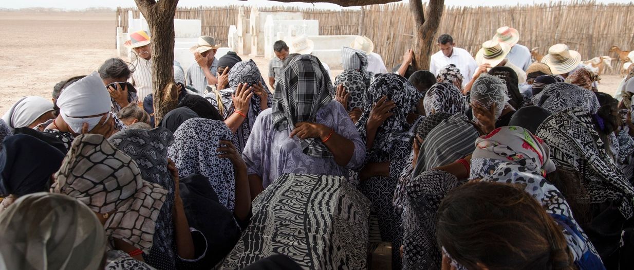 Pájaros de Verano : Foto