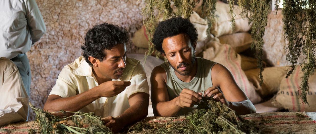 Pájaros de Verano : Foto