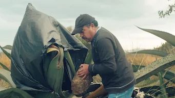 Las crónicas del taco : Póster