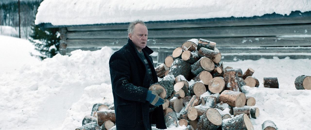 Out Stealing Horses : Foto Stellan Skarsgård