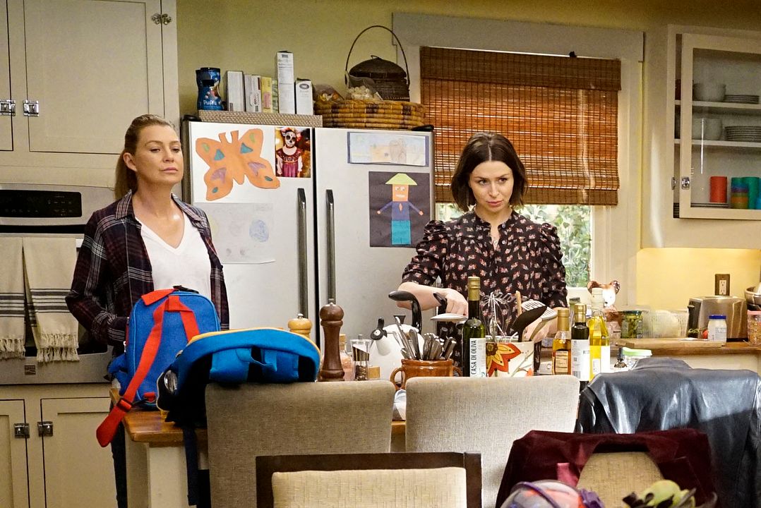 Grey's Anatomy : Foto Caterina Scorsone, Ellen Pompeo
