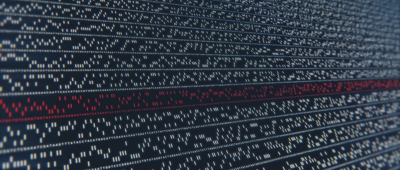 Naturaleza humana : Foto