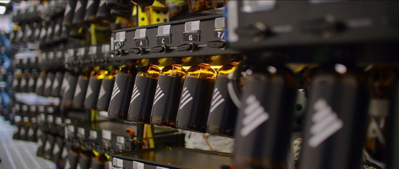 Naturaleza humana : Foto