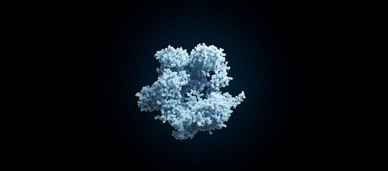 Naturaleza humana : Foto