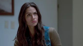 El dragón: El regreso de un guerrero : Póster