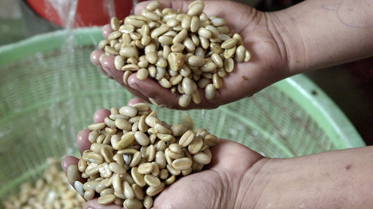 A Six Dollar Cup of Coffee : Foto