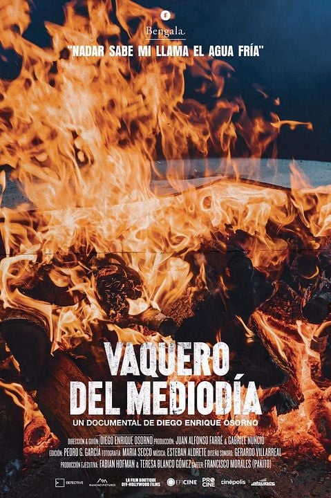 Vaquero del mediodía : Póster