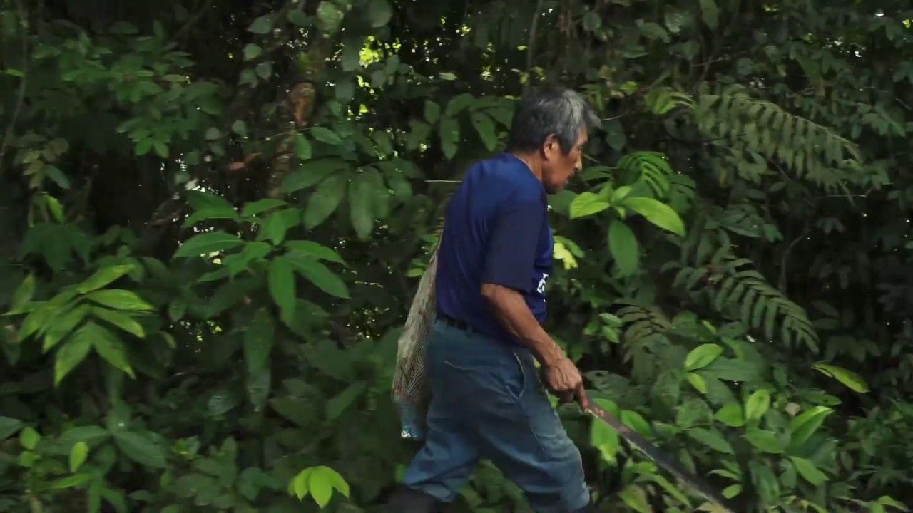 Tierra adentro : Foto