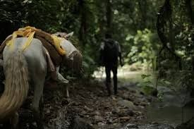 Tierra adentro : Foto