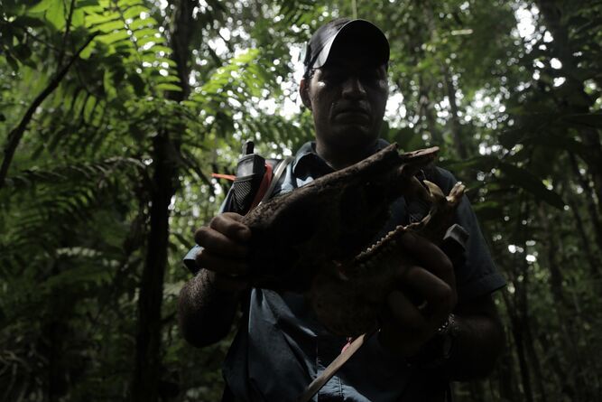 Tierra adentro : Foto