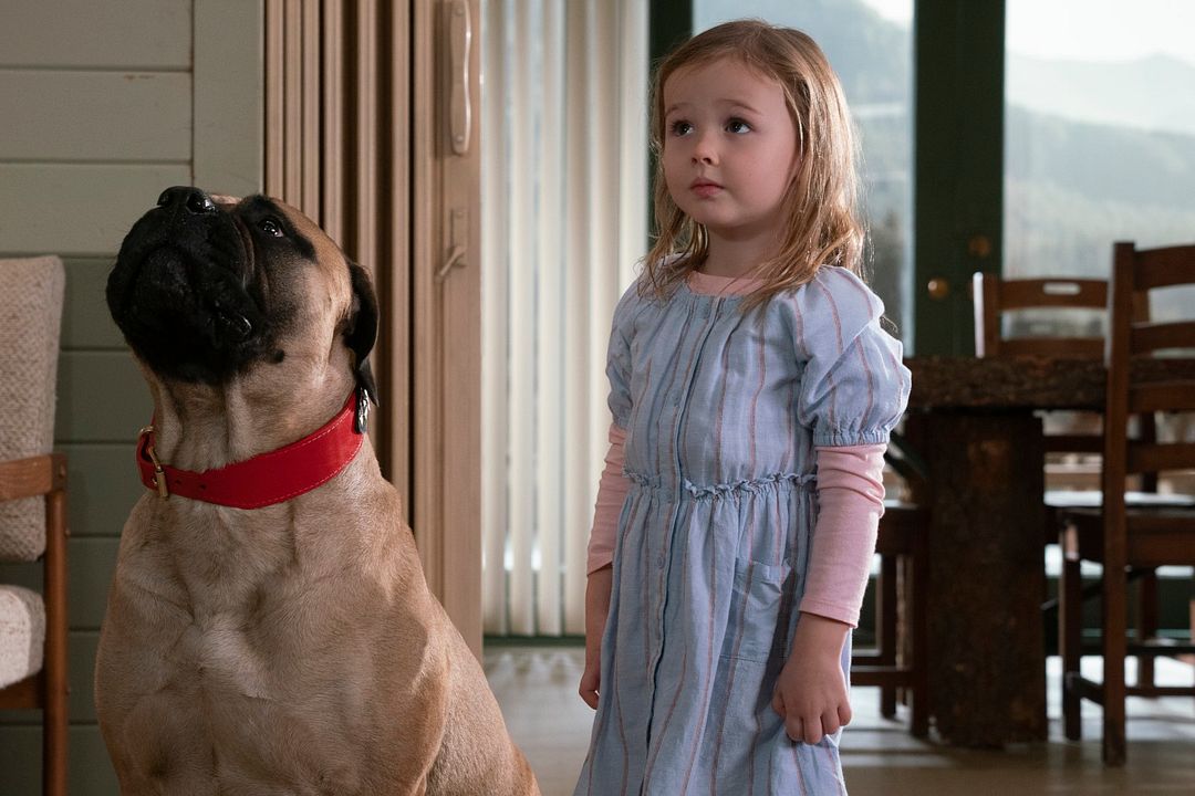 Jugando con fuego : Foto