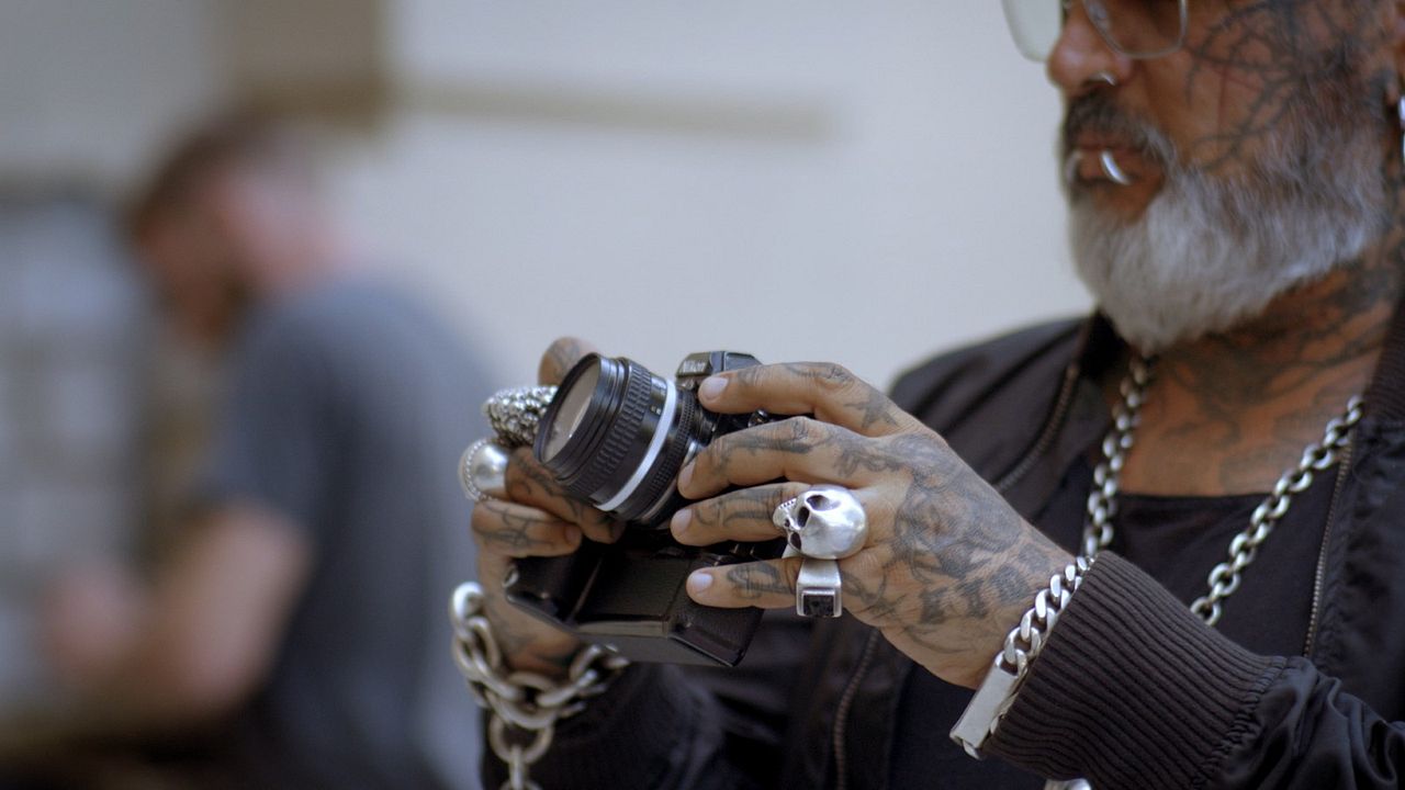 Beauty and Decay : Foto