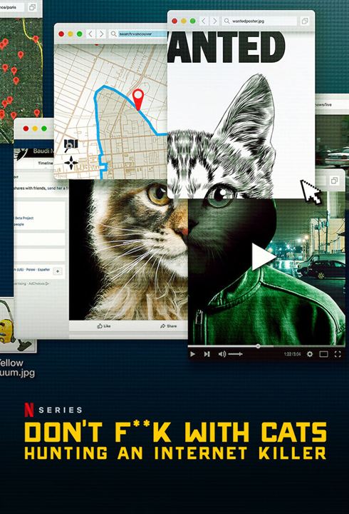 No te metas con los gatos: Un asesino en internet. : Póster