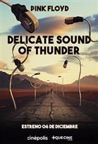 The delicate sound of thunder : Póster