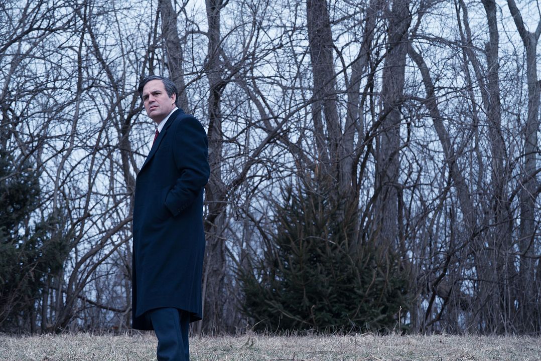 El precio de la verdad : Foto Mark Ruffalo