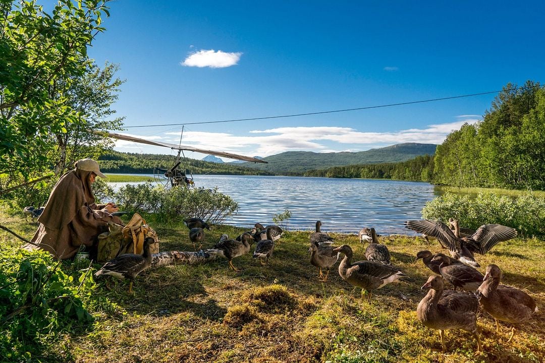 Abre tus alas : Foto