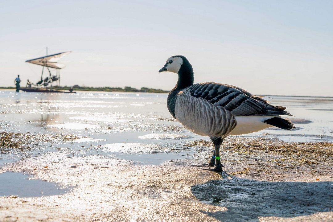 Abre tus alas : Foto