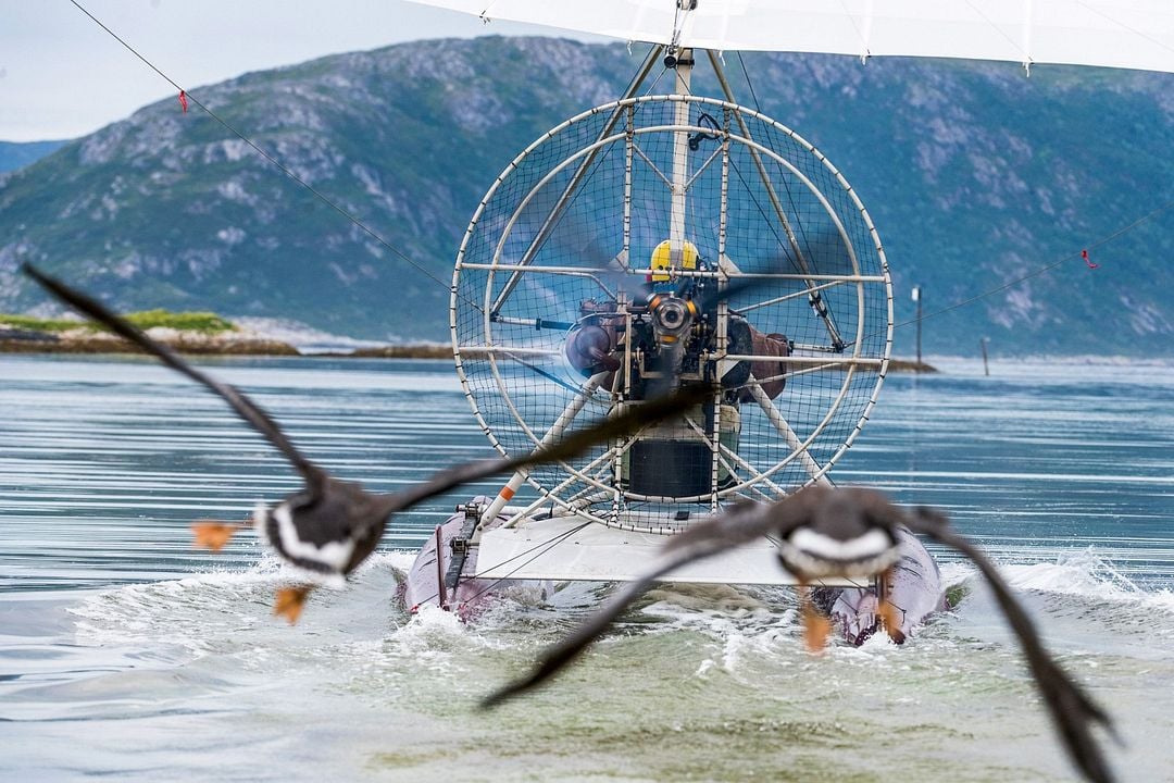 Abre tus alas : Foto