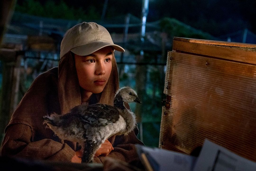 Abre tus alas : Foto