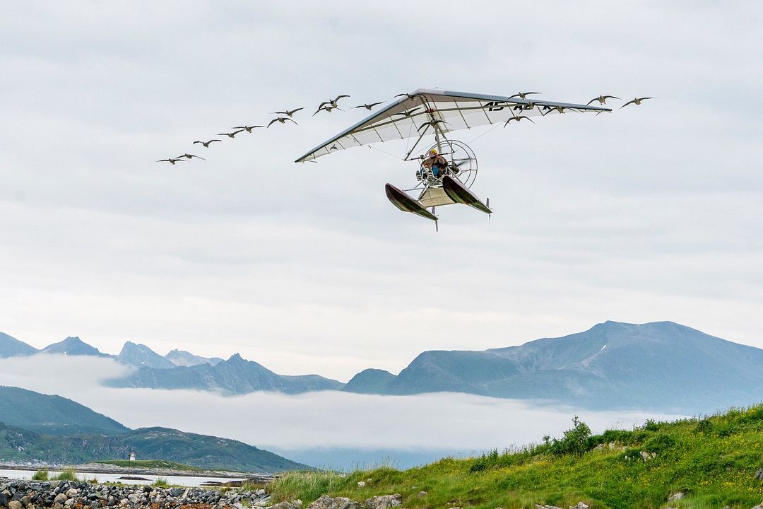 Abre tus alas : Foto