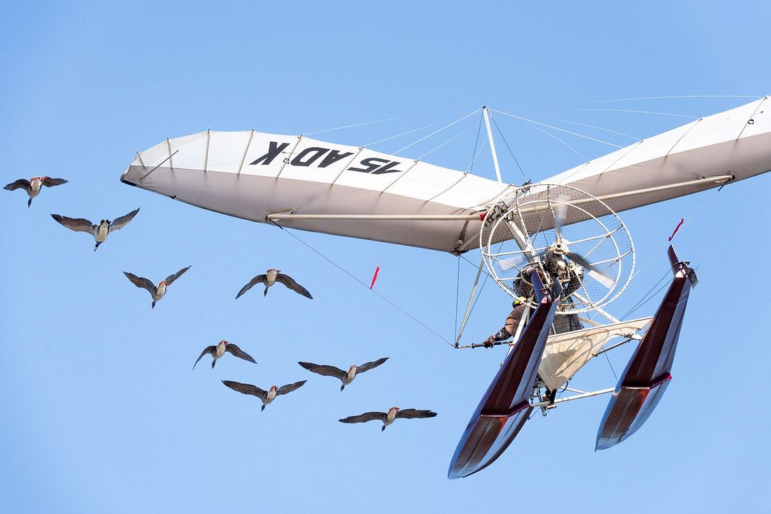 Abre tus alas : Foto