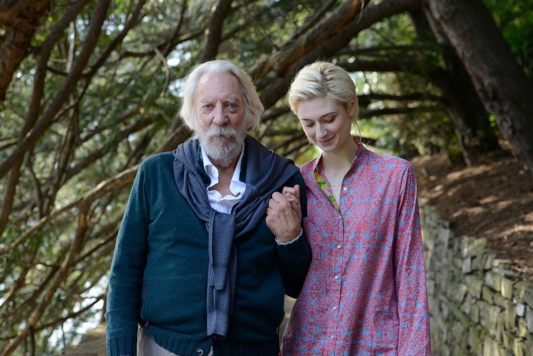 The Burnt Orange Heresy : Foto Donald Sutherland