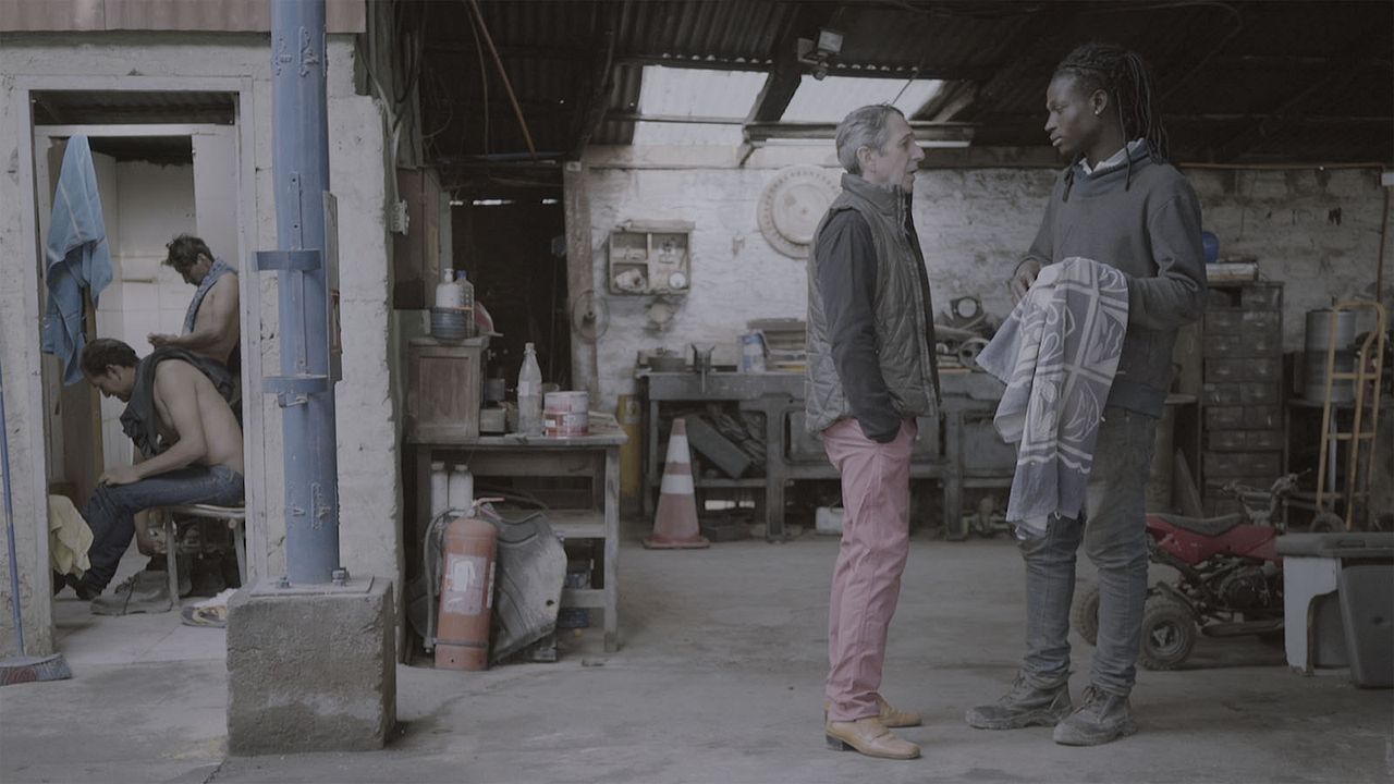 Perro bomba : Foto Alfredo Castro