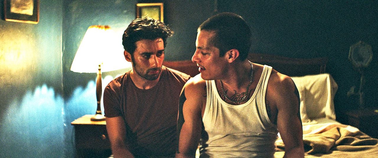 Luciérnagas : Foto Luis Alberti