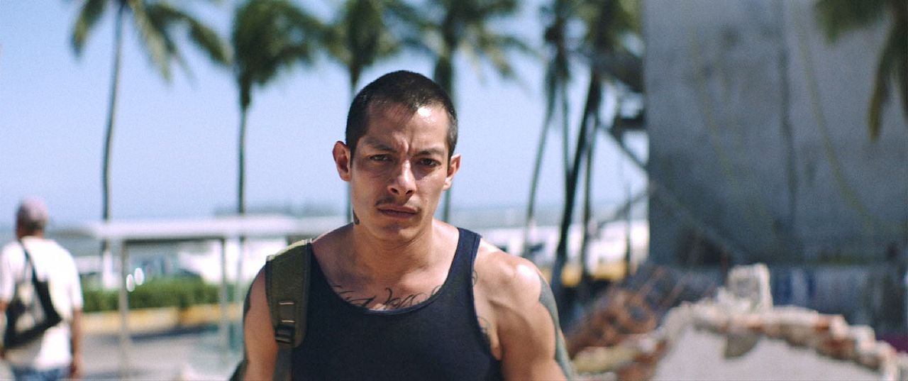 Luciérnagas : Foto Luis Alberti