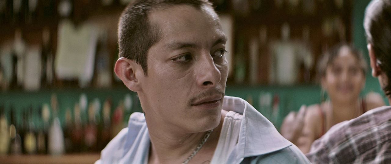 Luciérnagas : Foto Luis Alberti