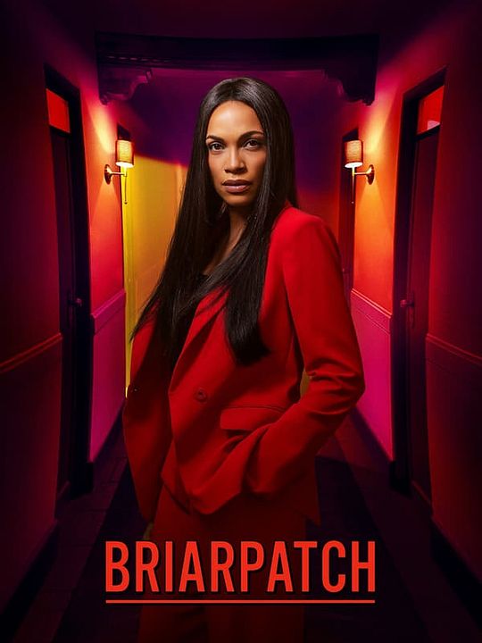 Briarpatch : Póster