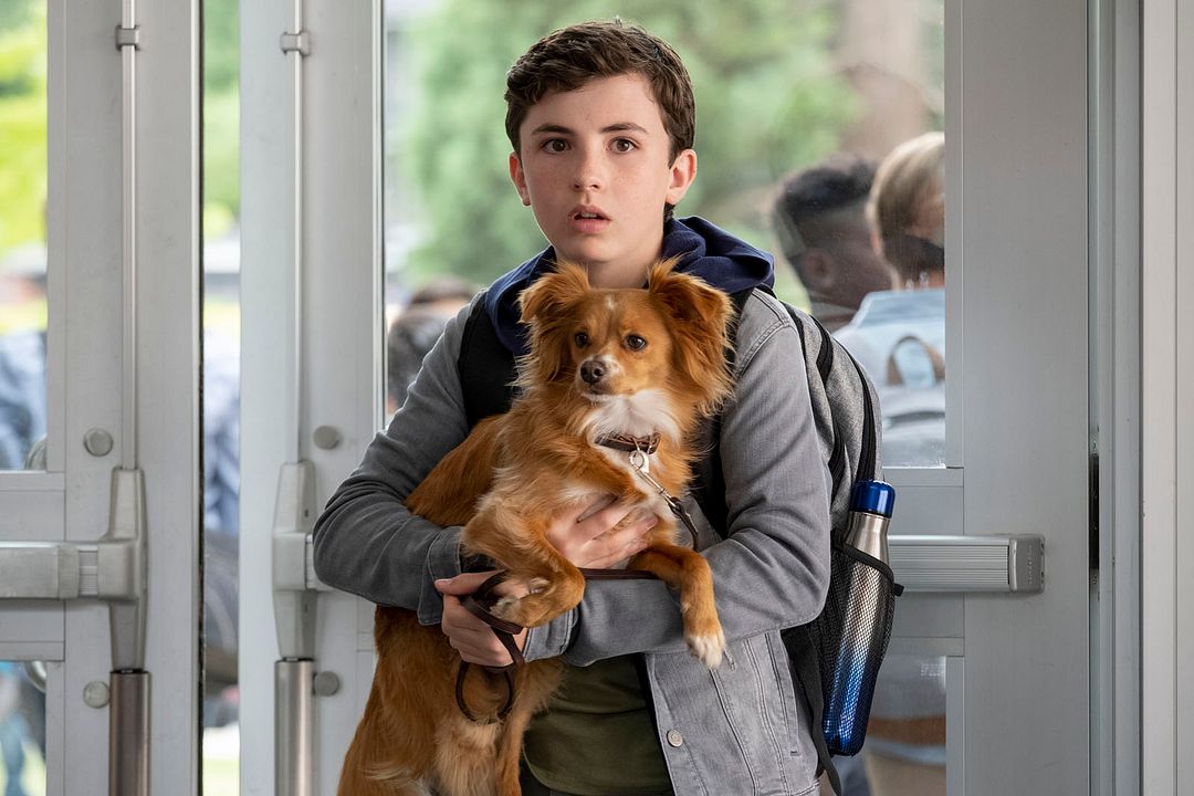 ¡Guau, qué amigo! : Foto