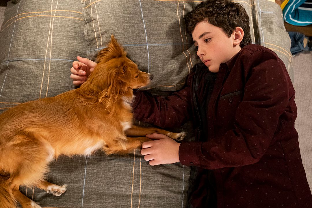 ¡Guau, qué amigo! : Foto