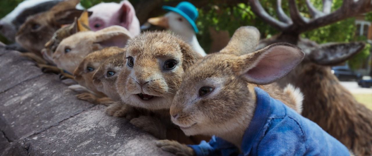 Foto de la película Peter Rabbit 2 Conejo en fuga Foto 15 por un total de 25 Foto de la película Peter Rabbit 2 Conejo en fuga Foto 15 por un total de 25