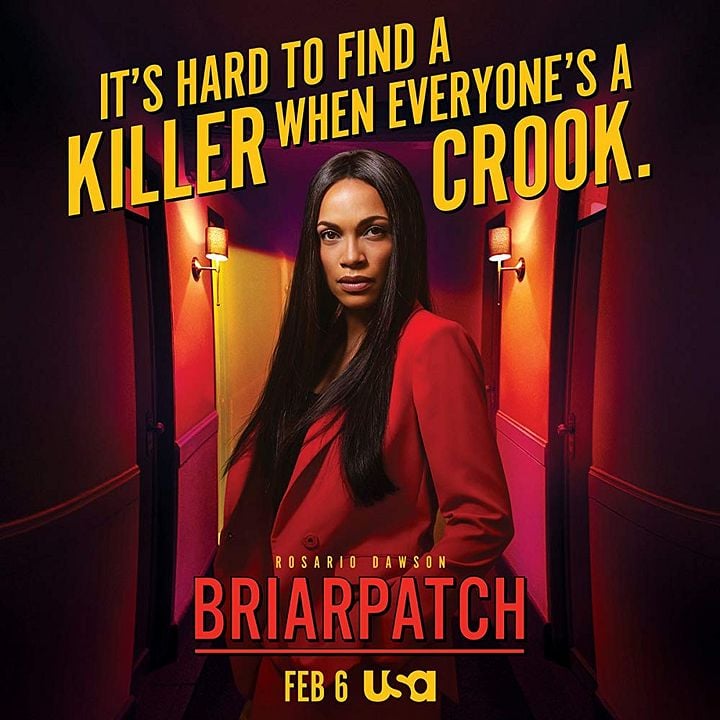 Briarpatch : Póster