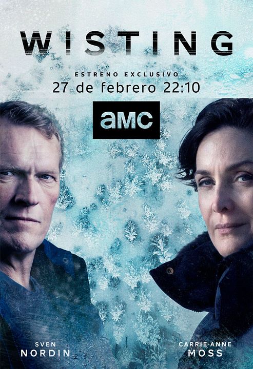 Wisting : Póster