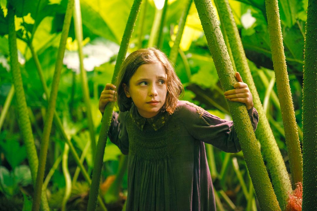 El jardín secreto : Foto Dixie Egerickx