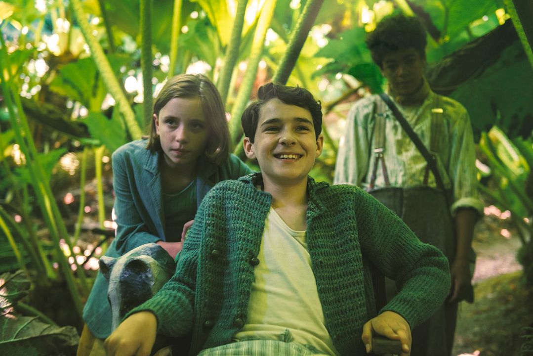 El jardín secreto : Foto Dixie Egerickx, Amir Wilson